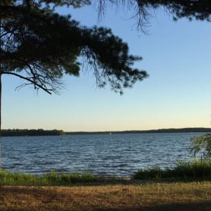 The view on my evening walk over to Leslie's theatre.