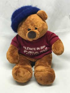 Bear with new hat